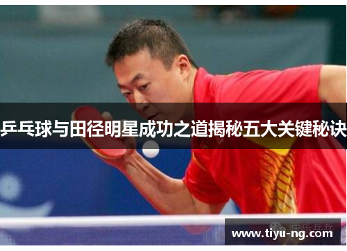 乒乓球与田径明星成功之道揭秘五大关键秘诀