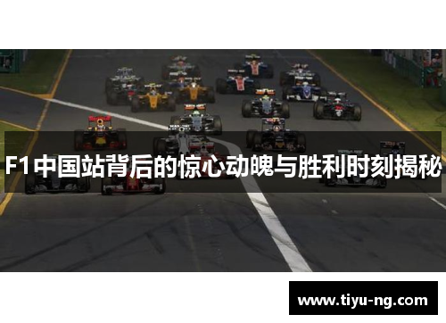 F1中国站背后的惊心动魄与胜利时刻揭秘