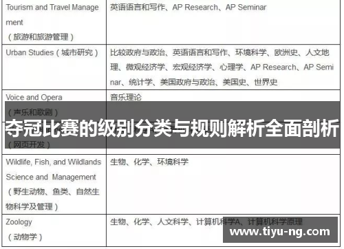 夺冠比赛的级别分类与规则解析全面剖析